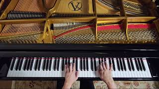 Chopin Etude Op 10 No 4 quot Torrentquot Rachel Billings piano [upl. by Aliuqehs]