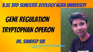 Tryptophan Operon  Bsc 3rd sem zoology Regulation of gene expression in prokaryotes [upl. by Aicilat]