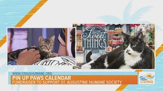 Pin Up Paws Calendar to Benefit St Augustine Humane Society [upl. by Olatha]