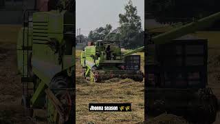 Jatt di combine chldi 🌾🤣 combine season harvest farming kisan music farmer viralvideo views [upl. by Polik]