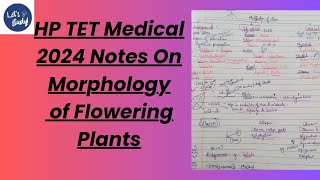 HP TET Medical  Morphology of Flowering Plant Notes 2024  Ncert Class 1 notes [upl. by Nasya]