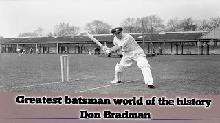 great batsman bradman [upl. by Miriam22]