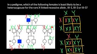 How Xlinked recessive genetic disorder inherited [upl. by Akemak]