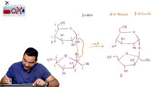 Lecture11 Structure of sucrose [upl. by Faludi]