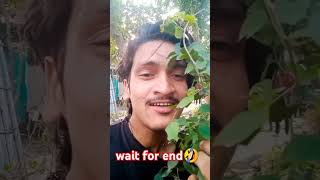 wait for last😂🤣 funny comedy comedyfilms viralvideo budhwacomedy viral [upl. by Mackler]