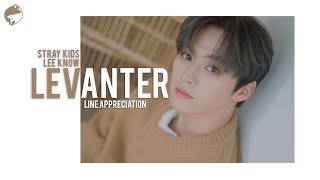 Clé  LEVANTER  Line Appreciation Lee Know 리노 [upl. by Vasilis]