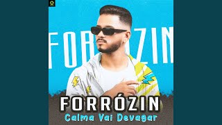 Forrózin Calma Vai Devagar feat MC Marsha [upl. by Rednave]