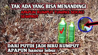 cukup 1 botol kecil ll 1 hektar Rumput hancur lebur tidak tersisa sampai benihnya cuma modal ini [upl. by Nestor]