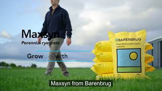 Barenbrug Maxsyn15 sec [upl. by Annalise347]