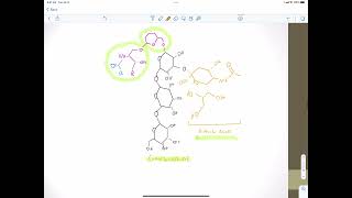 Glycolipids [upl. by Nayllij]