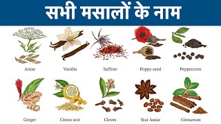 Kitchen Masala Names in Hindi and English  All Spices Names [upl. by Jemina79]