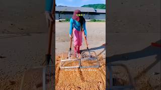 Amazing Agricultural Filter Sieve  Efficiently Cleans Grain and Corn facts gadgets shorts [upl. by Kaden]