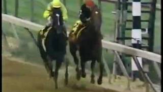 1989 Preakness Stakes  Easy Goer vs Sunday Silence [upl. by Ennasil]