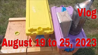 ⏱ Vlog August 19 to 25That Bee Man [upl. by Tuorah673]