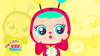 Surprise Surprise 😲 My Little CRY BABIES 👶🍼 Cry Babies Nursery Rhymes amp Kids Songs [upl. by Salvadore]