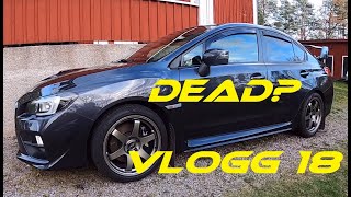 The Subaru STI Is Dead Vlogg 18 [upl. by Ehudd101]