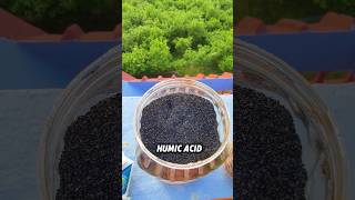 5 Essential Fertilizers amp Pesticides for a Thriving Garden 🌱✨ PlantCare OrganicGardening [upl. by Hodosh]