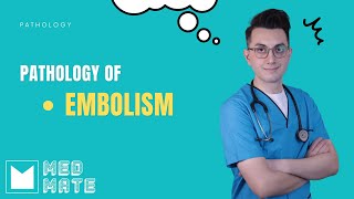 Embolism  Pathology [upl. by Johm187]