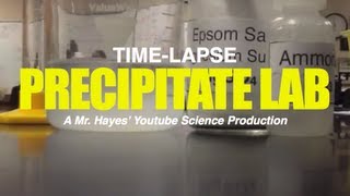 Mr Hayes Precipitate Lab TIMELAPSE [upl. by Alit667]