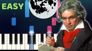 Beethoven MOONLIGHT SONATA  Easy Piano Tutorial with SHEET MUSIC [upl. by Cioban257]