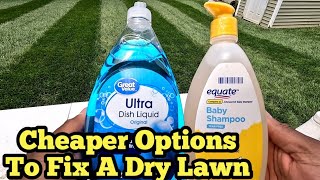 How To Fix DryHydrophobic Soil To Help Keep Lawn Green [upl. by Goren]