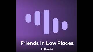 Garth Brooks Friends in Low Places Cover [upl. by Ahsaetan]