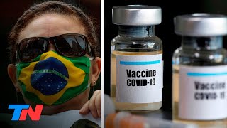 Coronavirus  Brasil empezó a probar la vacuna de Oxford contra el COVID19 las claves [upl. by Mahsih]