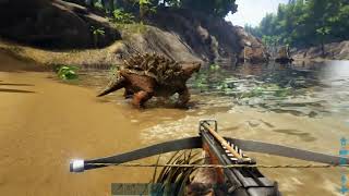 ARK survival evolved  Tout sur la torpeur [upl. by Mahla354]