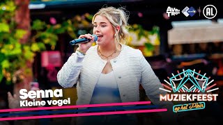 Senna  Kleine vogel LIVE • Muziekfeest op het Plein 2024  Sterren NL [upl. by Enrobyalc]