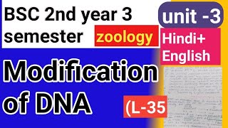 Bsc 2nd year 3semster zoology topic Modification of DNA [upl. by Thier]