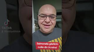 Salmonella găsită în ouăle din Ucraina [upl. by Sholes471]