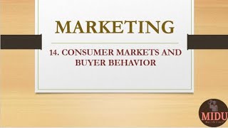 MARKETING  14 Consumer Markets and Buyer Behavior Hindi [upl. by Blakely]