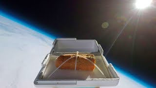 We Sent Garlic Bread to the Edge of Space Then Ate It [upl. by Spalla301]