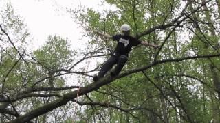 Branchwalking  Basic tree climbing techniques [upl. by Gessner534]