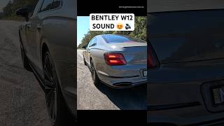 2023 Bentley Flying Spur W12 sounds magnificent bentley w12 launchcontrol [upl. by Ensign]