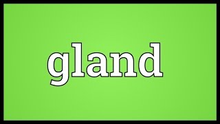 Gland Meaning [upl. by Andee]