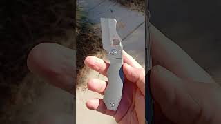 Spyderco Stovepipe a really interesting cleaver blade [upl. by Arbed]