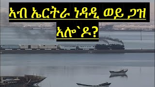 ዳህሳስ ነዳድን ጋዝን ኣብ ኤርትራ  Oil and Gas Exploration In Eritrea [upl. by Ennazzus535]