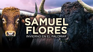 SAMUEL FLORES  Capítulo 1 Nuevas ilusiones [upl. by Bough187]