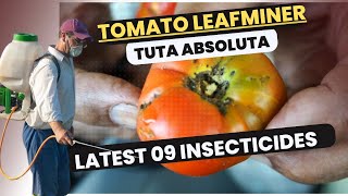 Effective Control of Tomato Leafminer Tuta absoluta  Latest Insecticides amp Management Strategies [upl. by Chon]