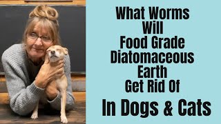 Deworming Dogs and Cats with Diatomaceous Earth Natural Parasite Control [upl. by Anilehs696]