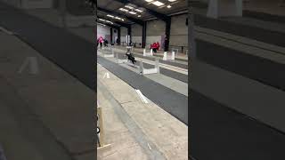 High Speed Dogs Race at Flyball Competition  ViralHog [upl. by Ecraep177]