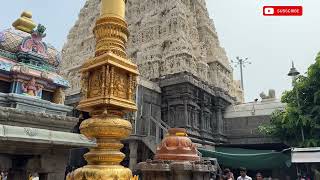 Kanchipuram Saares  Kanchipuram temples  golden lizard temple  Avinashmunny [upl. by Masera]