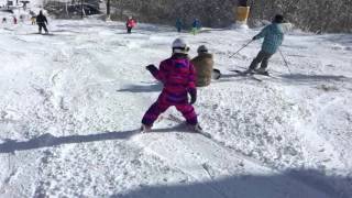 Cat Skiing at Happo One Hakuba Japan [upl. by Berget]