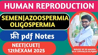 The Science of Sperm Azospermia amp Oligospermia Explained [upl. by Scottie]