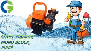 CG POWER 1 HP MONO BLOCK PUMP CG MINI SERGEANT 1 CGMINISERGEANT1 diamondsanitarymart CGPOWER [upl. by Adnoek918]