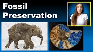 Fossil Preservation Modes and Major Invertebrate Groups  GEO GIRL [upl. by Linad]