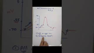 Refractory period in action potential شرح لمادة الفيسيولوجي بالعربي [upl. by Chirlin]