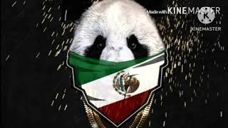 Panda Remix Extended version Spanglish  Desiiner X Eddy Lg panda [upl. by Analos404]