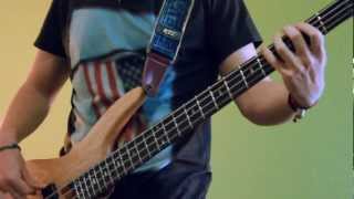 Chicken fried  Zac Brown Band  Bass cover [upl. by Obbard58]